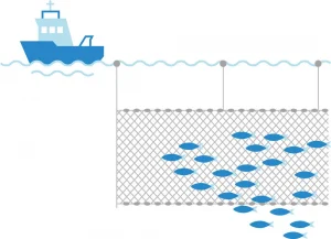 A pictogram showing how fishing with gillnets is done.