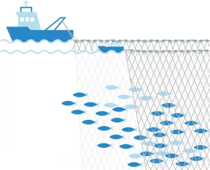 A pictogram showing how to fish with a Purse seine.