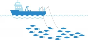 A pictogram showing how is the pole and line fishing.