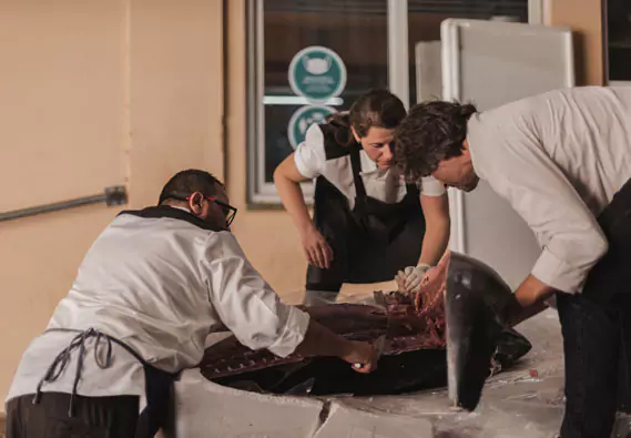 Three people cutting down a tuna.