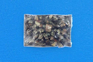 Percebes