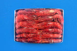 Carabineiro
