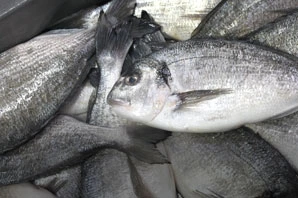 Do mar ao prato: como garantimos a qualidade do pescado