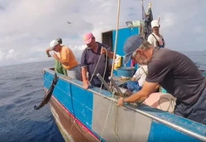 Men in a boat, fishing black scabbardfish.
